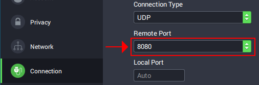 A preview of how Private Internet Access shows how to use the OpenVPN protocol with a remote port