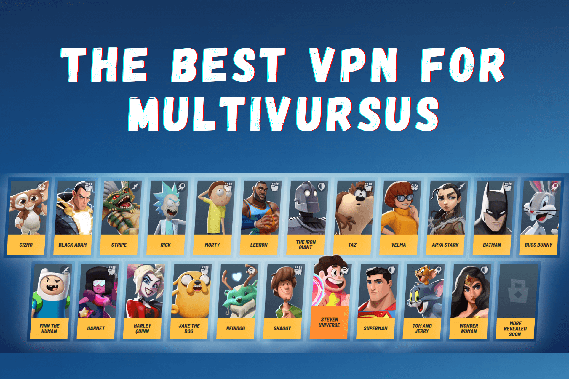 VPN MultiVursus