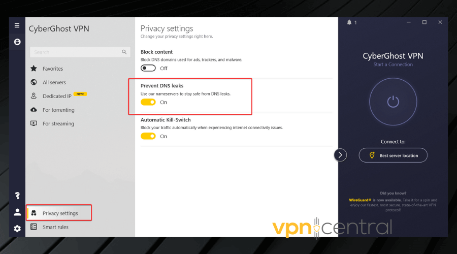cyberghost vpn privacy settings