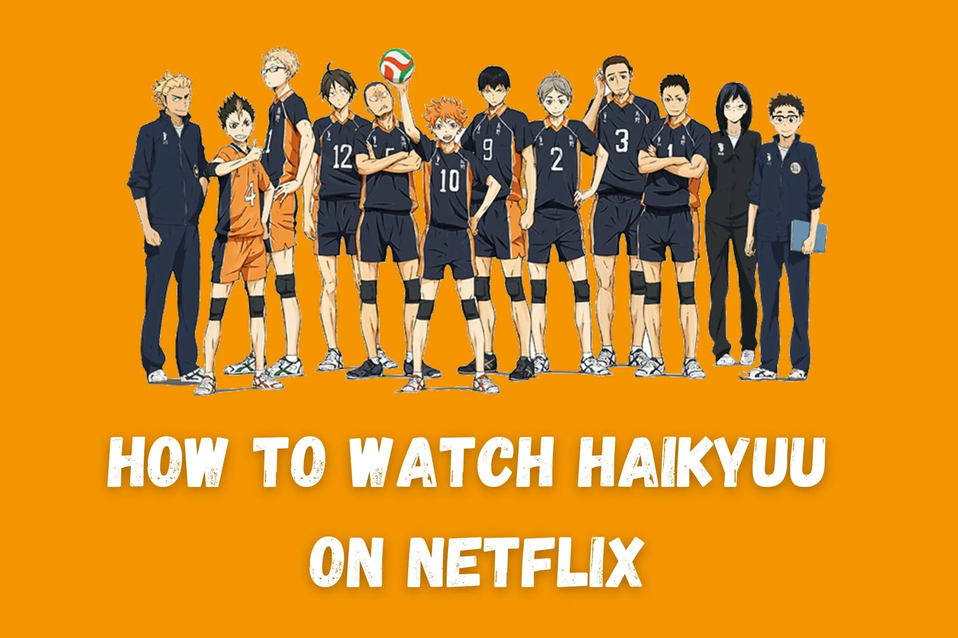 How to Watch Haikyuu on Netflix From Anywhere [Qucik and Easy]