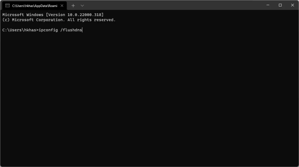 cmd prompt flush dns