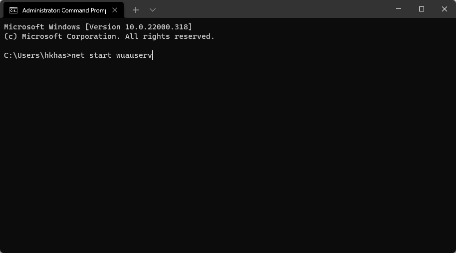 cmd prompt start update server