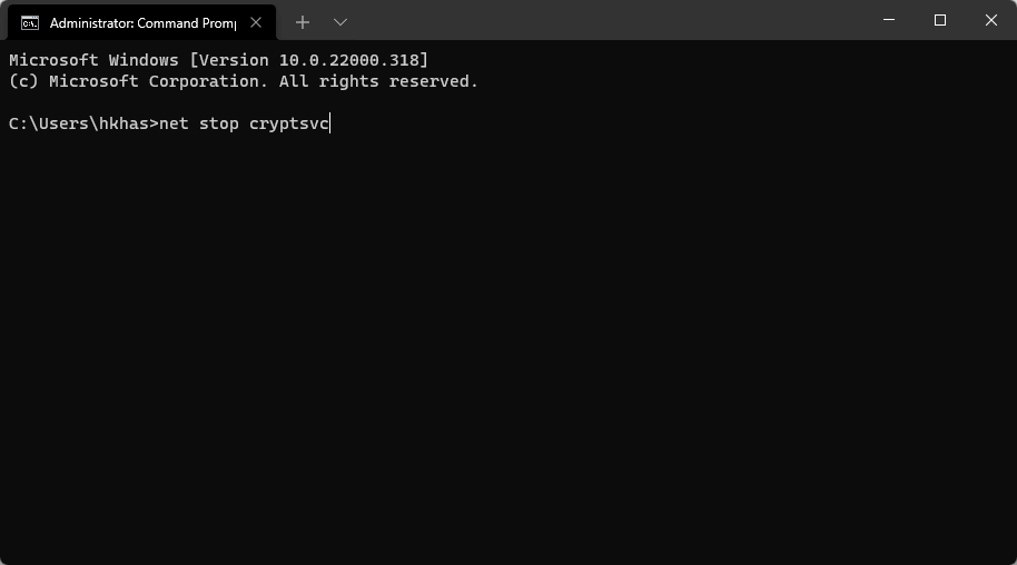 cmd prompt net stop cyptsvc command