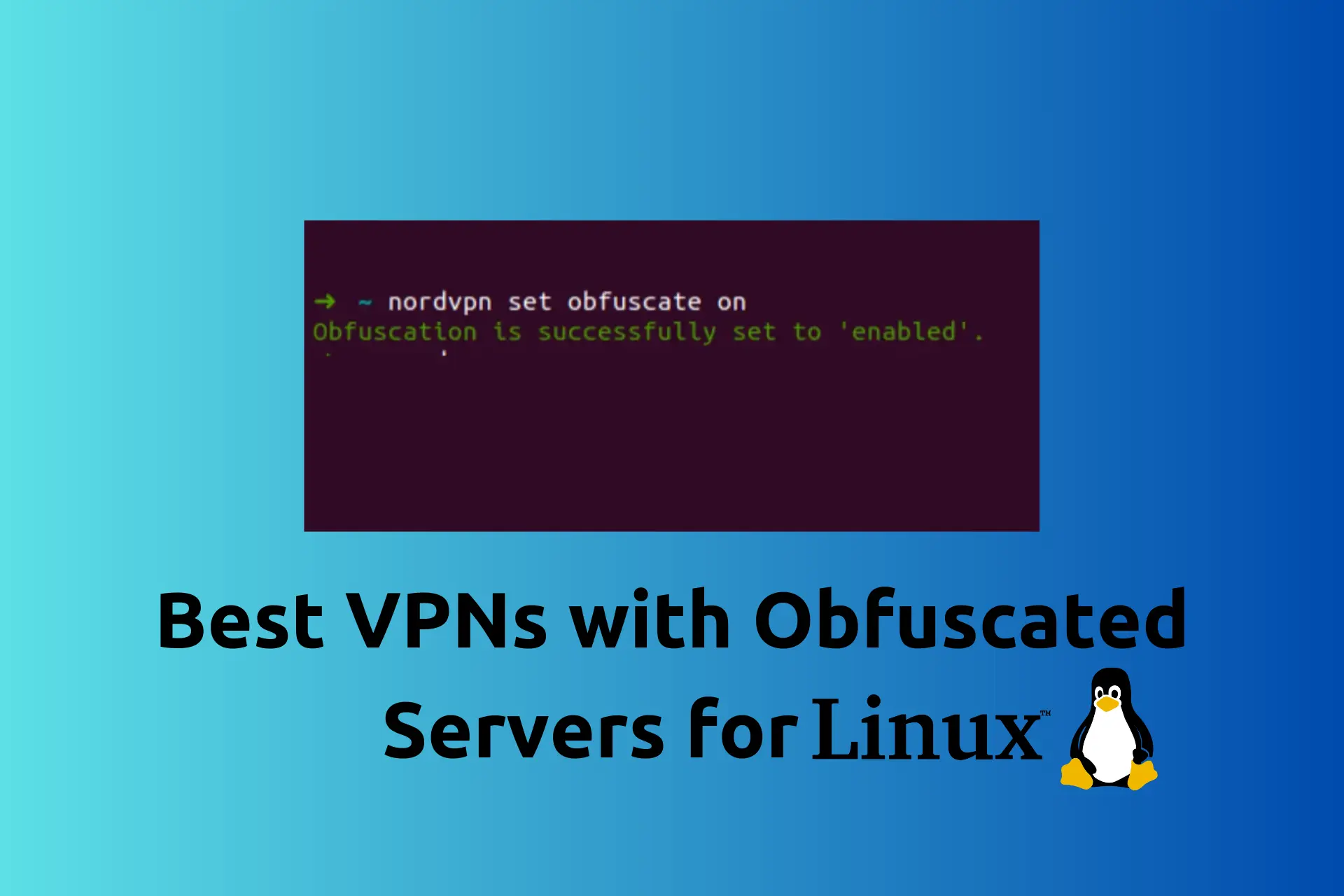 vpn with obfuscated servers for linux