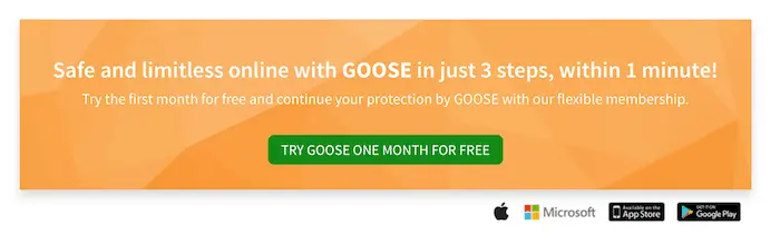 Getting started with Goose VPN