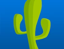  CactusVPN 