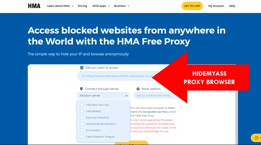 hidemyass proxy browser
