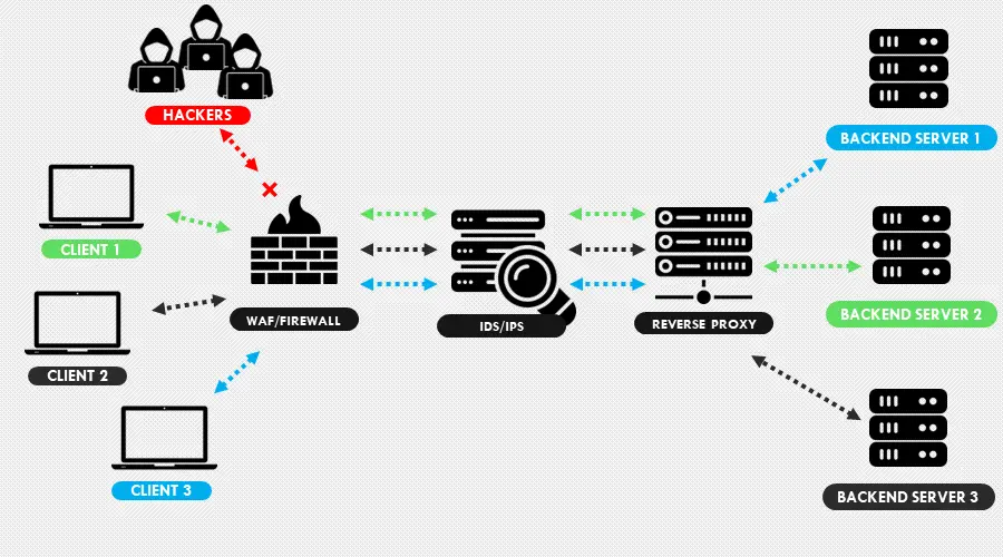 use an intrusion detection system to protect the reverse proxy