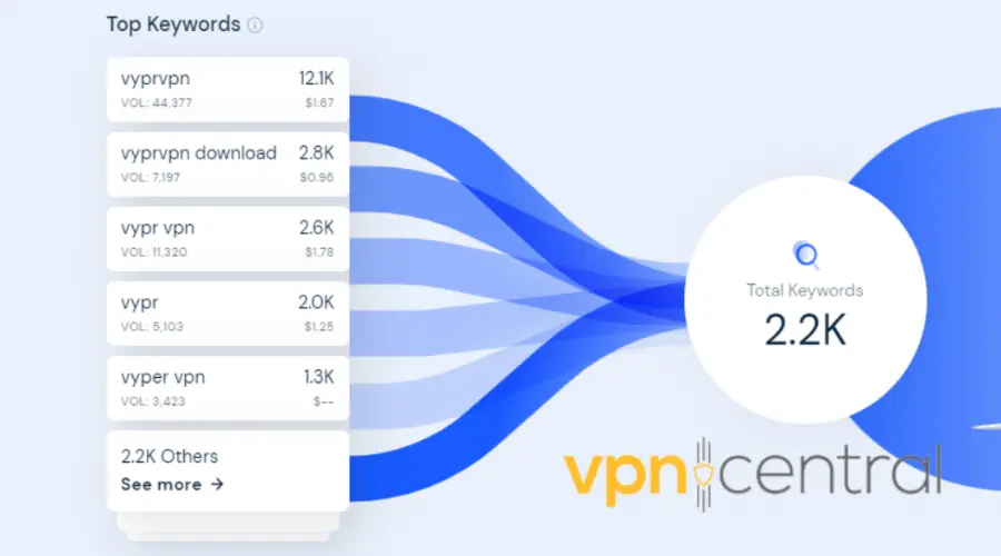 vyprvpn top organic keywords