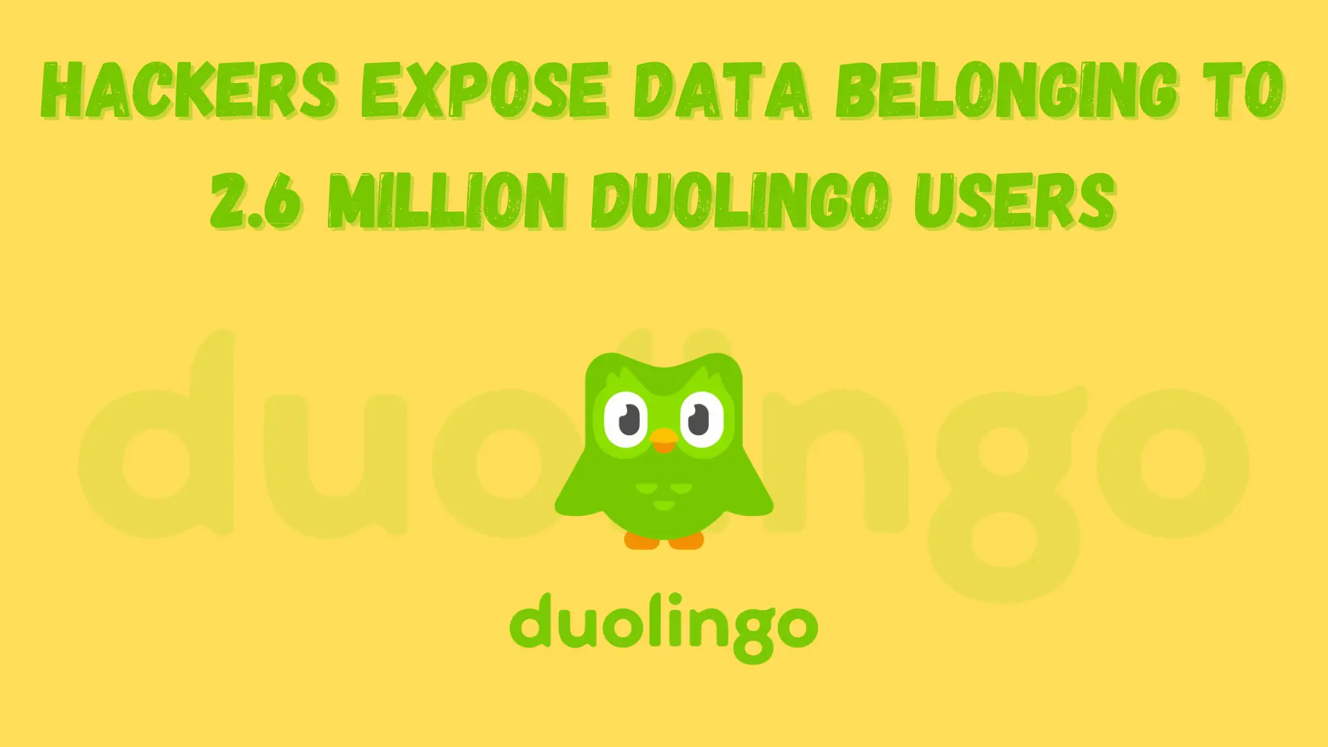 Hackers Expose Data Belonging to 2.6 Million Duolingo Users