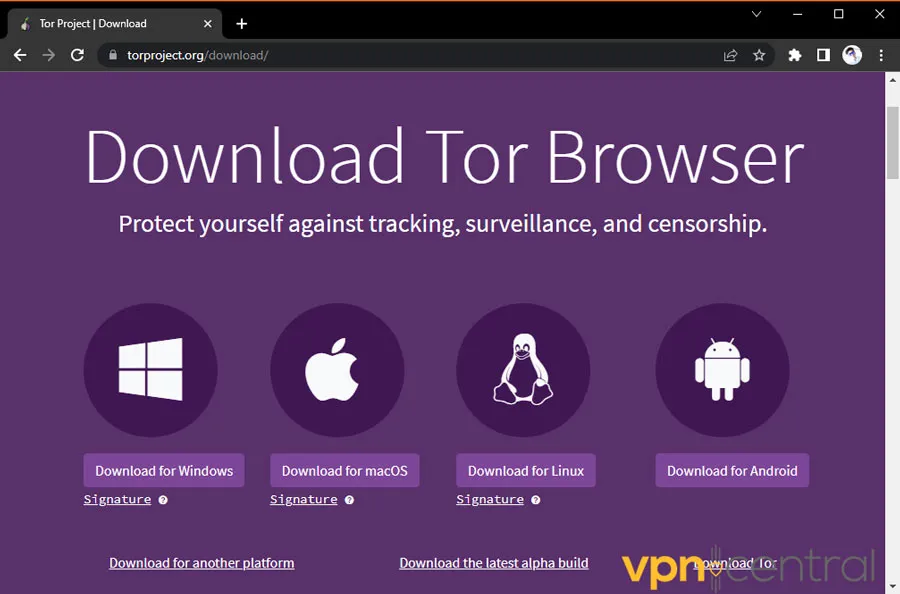 download tor browser