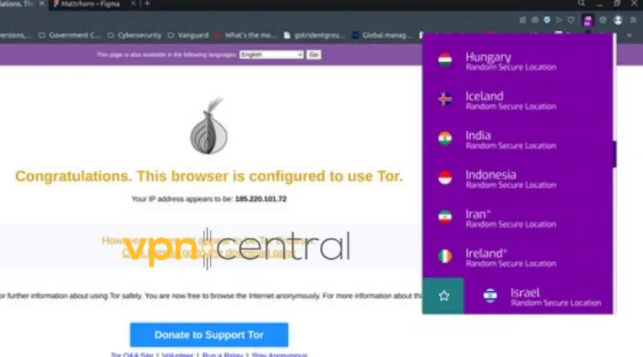 Tor interface