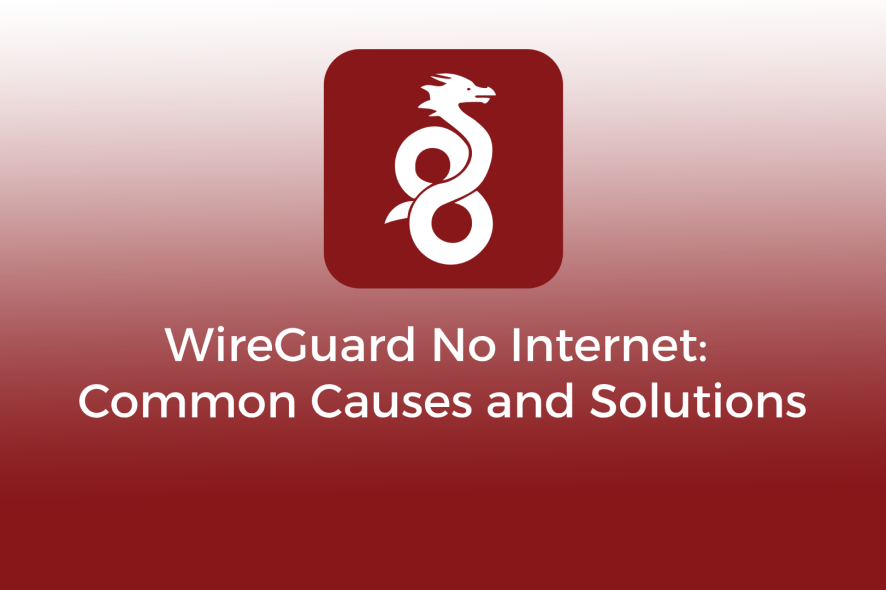 wireguard no internet