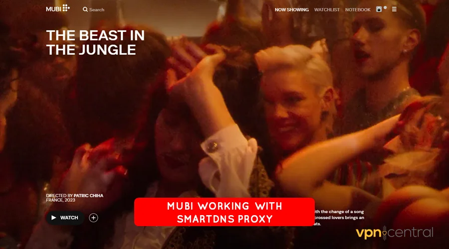 mubi working with smartdns proxy