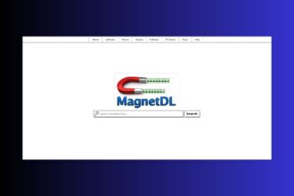 best magnetdl proxy