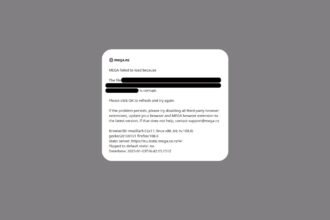 mega not working with vpn