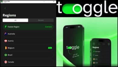 Toggle VPN Review